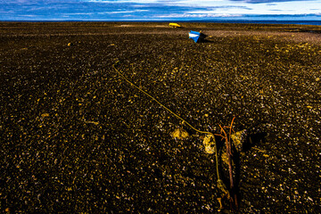 Chile countryside and its landscape