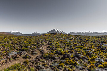 Chile countryside and its landscape