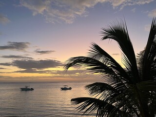 Colorful sky and sea after sunset with palm tree leaves on the righthand side