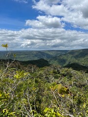 View on Black River National Park in Mauritius