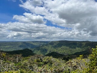 View on Black River National Park in Mauritius