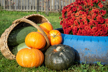 vegetables and flowers