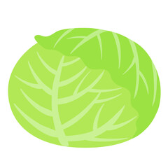 キャベツのイラスト