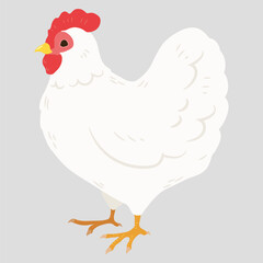 Simple and adorable flat colored white chicken illustration