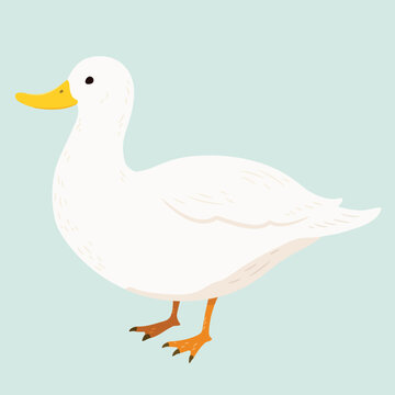 Simple and adorable flat colored White Duck illustration