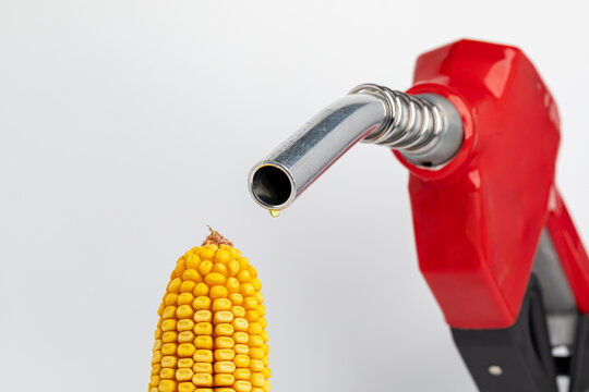Ethanol gasoline dripping from fuel nozzle with corn. Biofuel, renewable energy and agriculture concept.