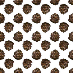 Pine cone seamless pattern. Botanical hand drawn vector background. 
