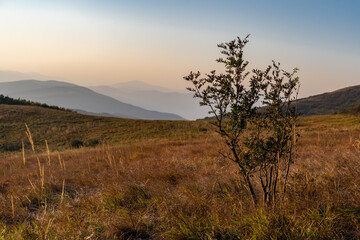 Fototapeta premium sunrise in the mountains, tree and mountains, hills