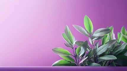  a plant with green leaves on a purple and purple background.  generative ai