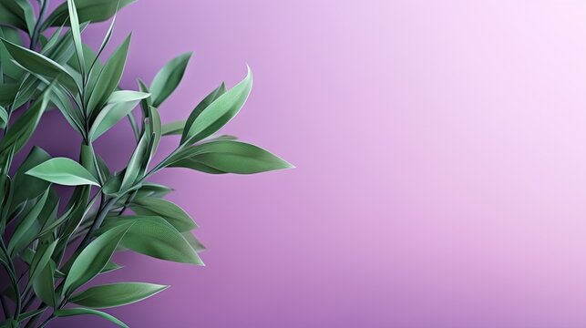  a plant with green leaves on a purple and pink background.  generative ai