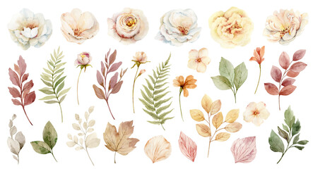 Watercolour set of flowers and leaves in neutral color. Elements for greeting cards, stationery, wedding invitations and decorations. A hand drawn illustration.