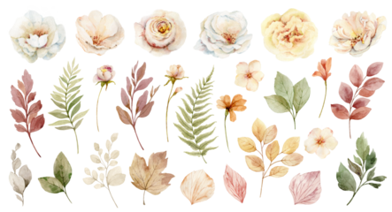 Watercolour set of flowers and leaves in neutral color. Elements for greeting cards, stationery, wedding invitations and decorations. A hand drawn illustration.