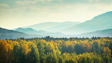 Autumn forest and mountains at sunset. Beautiful autumn nature background