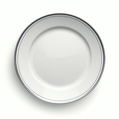 Silver Plate Graphic Vector