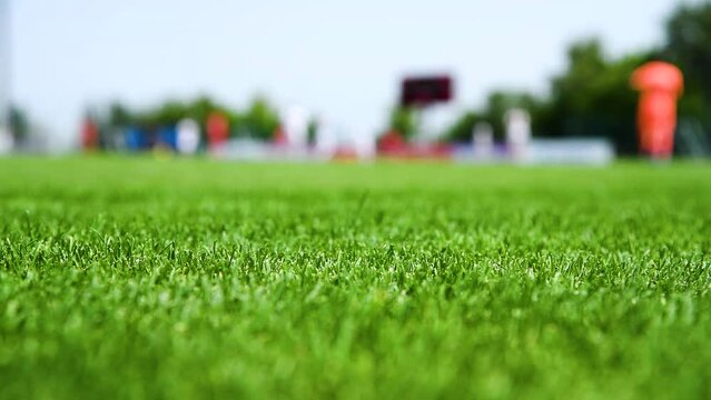 Football match on green grass