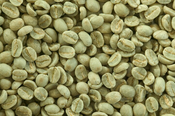 コーヒーの生豆　キリマンジャロ