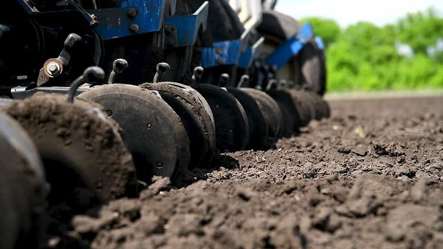 Row seed drill grain. Seed sowing device.