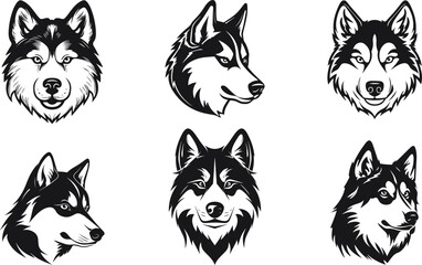 Cute siberian husky dog. Black and white Siberian husky with cute eyes . Hand drawn portrait of dog. Vector illustration © Tharika