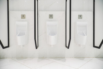 Contemporary interior of public toilet, part of the luxury hotel. toilet interior concept