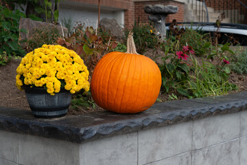 potted mums and pumpkin outside a house
