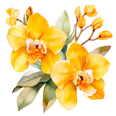 Fototapeta na wymiar Water color beautiful yellow orchid illustration png clip art