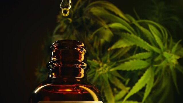 Glass bottle with cannabis THC tincture, herbal treatment. Alternative medicine 