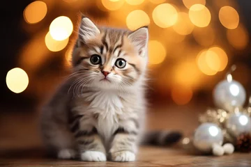 Fotobehang Cute fluffy persian kitten on christmas with golden xmas tree © absolutimages