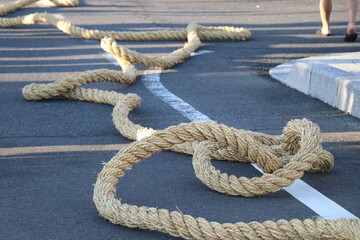 山﨑八幡宮秋季例大祭、山崎八幡宮、秋、祭り、2023年、山車、本山神事