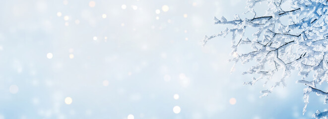 abstract winter background banner with white snowy tree branch at the edge of empty sunlight sky,...