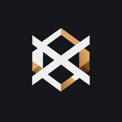 Obraz premium letter x logo