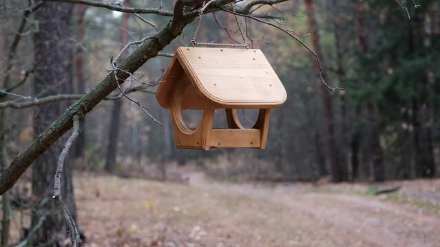 Bird feeder in the autumn forest