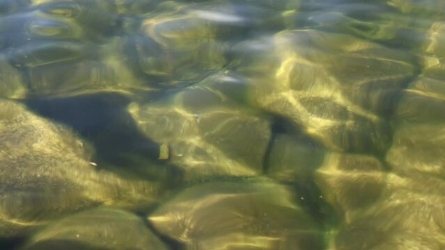 Rippling water and the play of light on the surface of Lake Strbske pleso in the High Tatras, Slovakia.