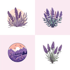 lavender vector clip art illustration