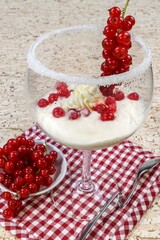 Joghurt mit Johannisbeere und Zuckerrand