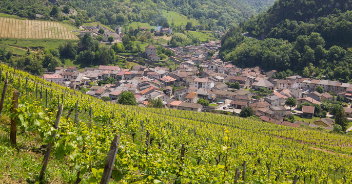 Cerdon, commune fran&ccedil;aise situ&eacute;e dans le d&eacute;partement de l'Ain en r&eacute;gion Auvergne-Rh&ocirc;ne-Alpes, est dans la r&eacute;gion naturelle du Bugey dans le massif du Jura. C'est un village viticole et touristique