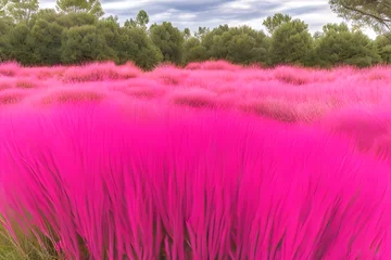 Crédence en verre imprimé Roze flowers in the field