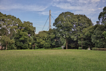 Obraz premium 橋と公園
