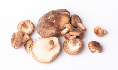 Fresh shiitake mushrooms on white background