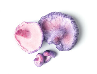 Not so fresh shiitake mushrooms on white background