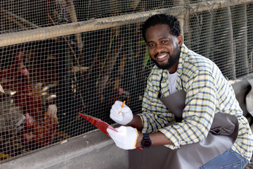 Happy African man with black beard working in cattle, male farmer holding file paper and writing information during raising backyard hens in chicken coop, enjoy feeding and raising chicken in farm. © Stella