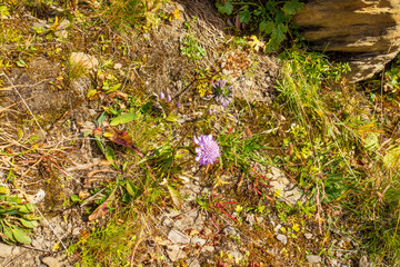 Wandern in Schweiz zur Herbstzeit