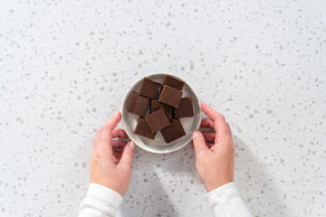 Homemade plain fudge