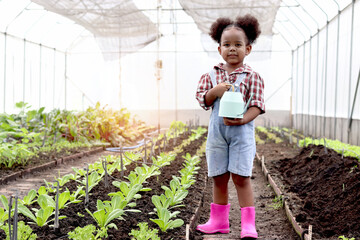 Cute litter African kid girl with curly hair holding watering can and watering green irrigating plan in vegetable farm, happy child working in family horticulture garden at countryside.