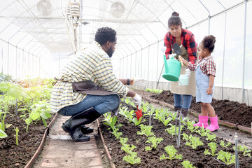 Happy family in vegetable garden at countryside, Asian mother, African father and curly haired girl...