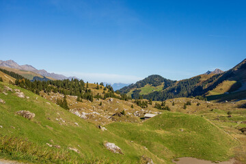 Fototapeta na wymiar Herbstzeit in der Schweiz
