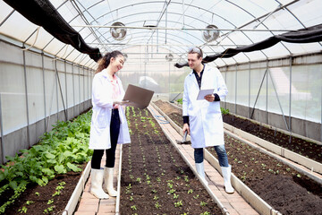 Botanist scientist woman and man in lab coat work together on experimental plant plots, two biological researchers hold laptop and tablet while discuss on science experiment with plant in greenhouses.