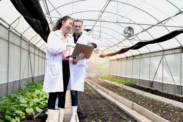 Botanist scientist woman and man in lab coat work together on experimental plant plots, two...