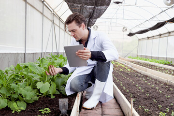 Botanist scientist man in lab coat holding tablet during working on experimental plant plots, male...