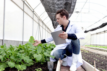 Botanist scientist man in lab coat holding tablet during working on experimental plant plots, male...