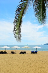 Nha Trang city, Vietnam - October 18, 2023 : overlooking the beautiful coast of Nha Trang with palm trees on the beach with deck chair and parasol